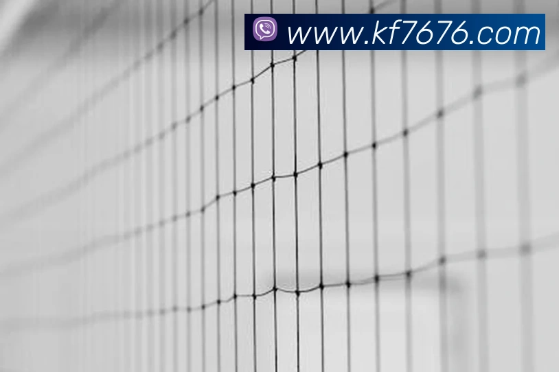 k8凯发天生赢家官网APP 封面图